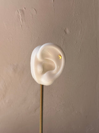 MOON | FLAT BACK