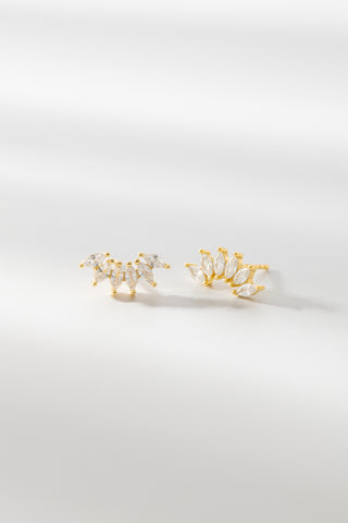 FAN | STUDS