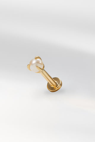 Sylvie flat back earring in gold featuring a crystal on a white background