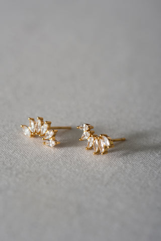 FAN | STUDS