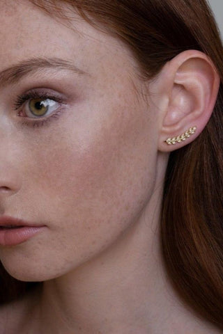 Laurel Ear Climber